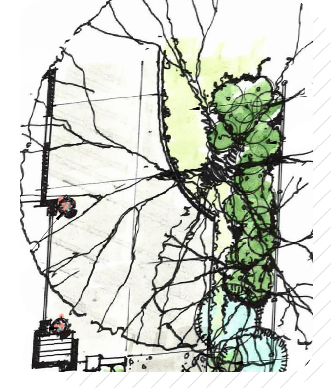 Landscape Design and Consultation-Header-Mobile@2x